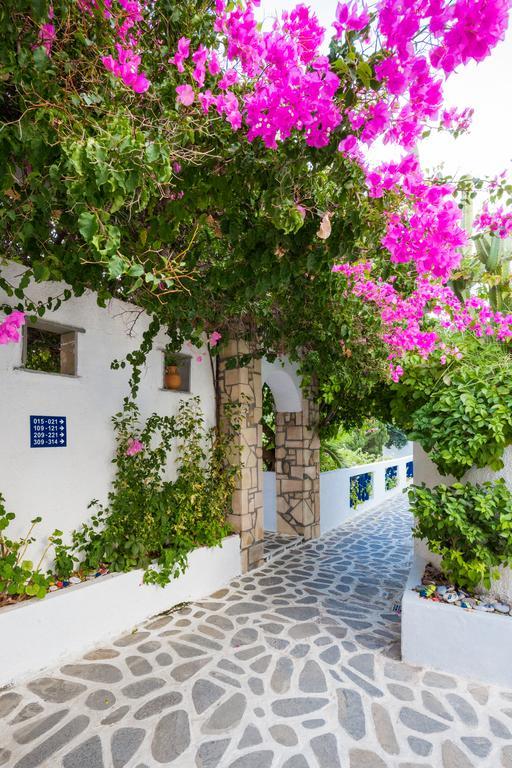 Ekaterini Hotel Kiotari Dış mekan fotoğraf